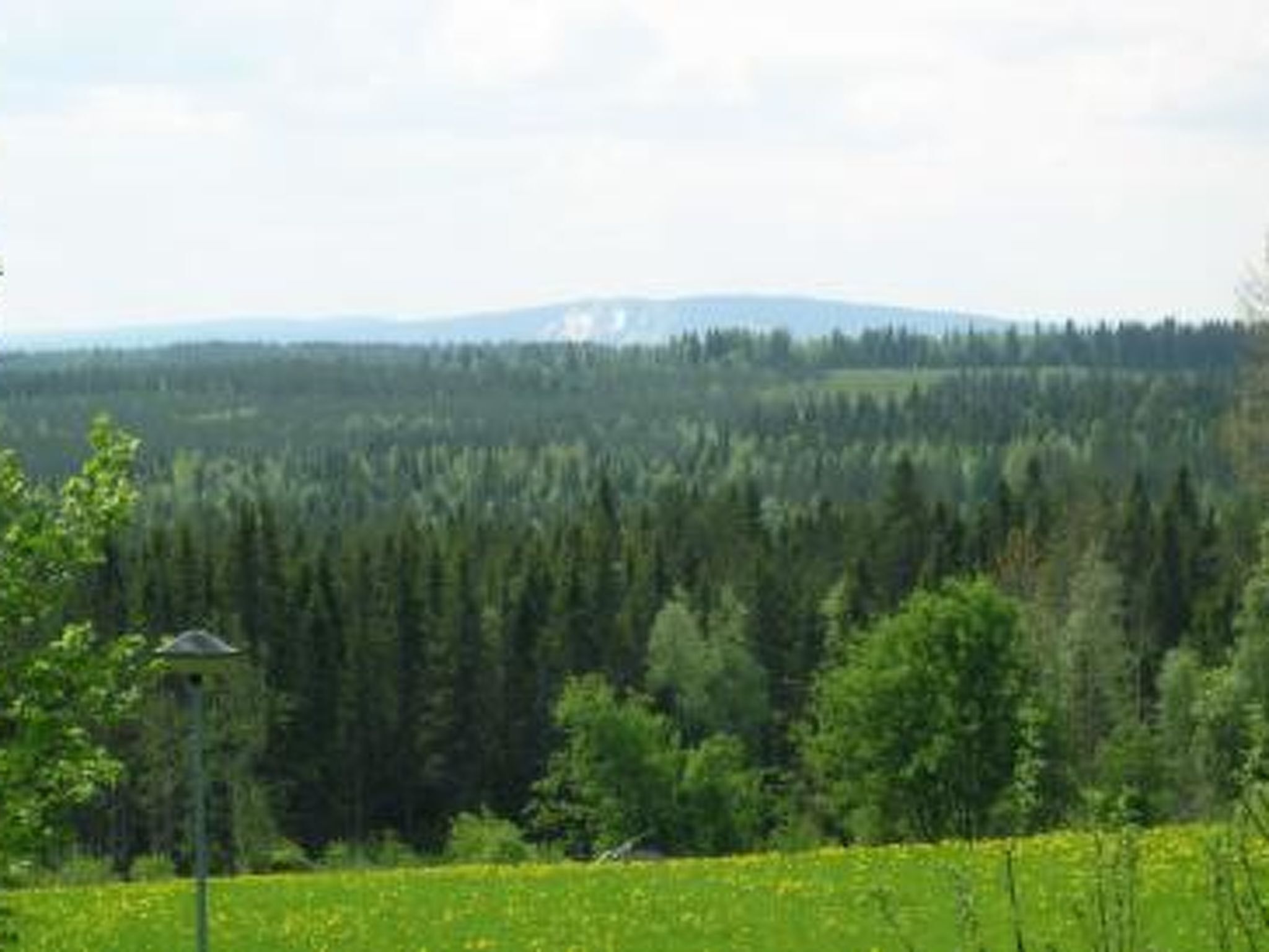 Un paysage boisé offrant une vue dégagée sur une chaîne de montagnes au loin.