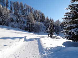 Snow and ski sports - Ferienwohnung Chasa Quadra by Interhome (Tarasp)