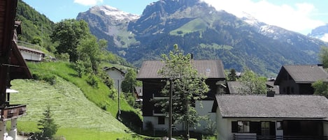 A residential area with houses, a paved road, and a mountain in the background.
