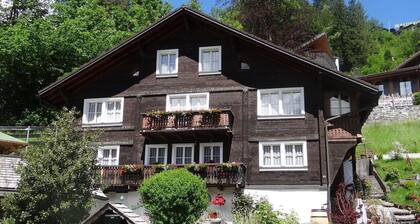 Steinacher 7 by Interhome