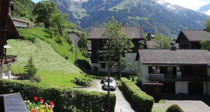 Steinacher 7 by Interhome