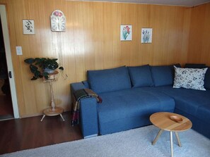 TV, DVD player - Steinacher 7 by Interhome (Engelberg)