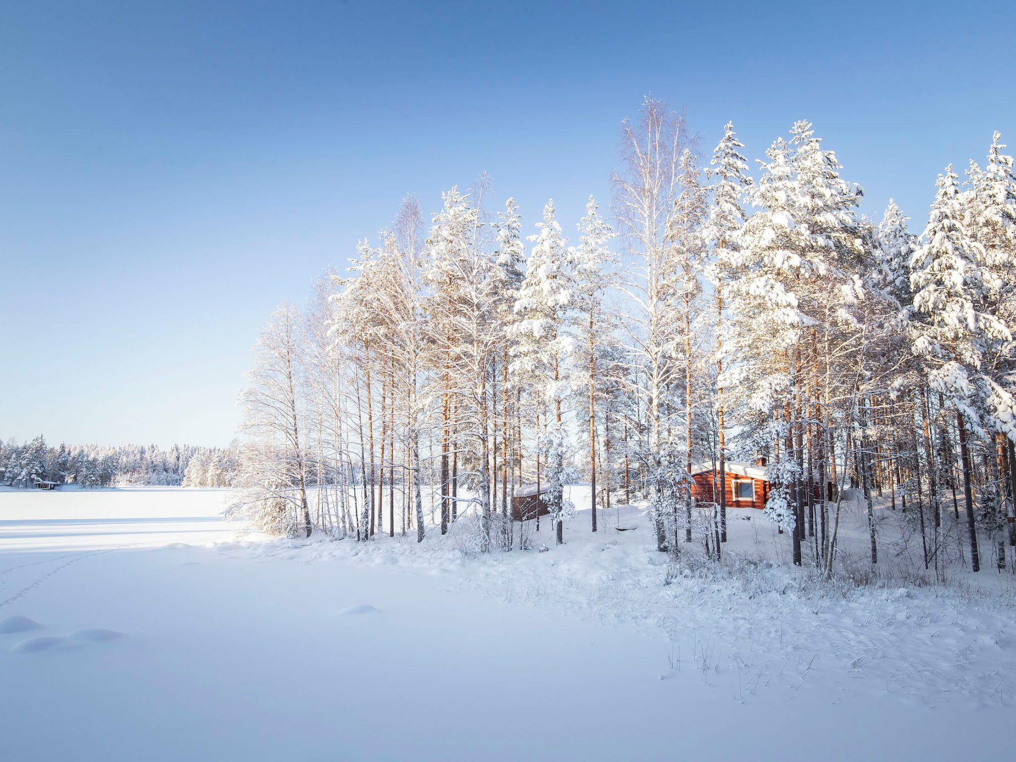 Eine Holzhütte, umgeben von schneebedeckten Bäumen in einer Winterlandschaft.