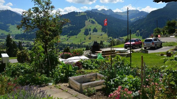 Ein Garten mit einer Holzbank, einem kleinen Teich und Blick auf die Berge.