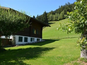 Property grounds - Rehweid (EG) by Interhome (Saanen)
