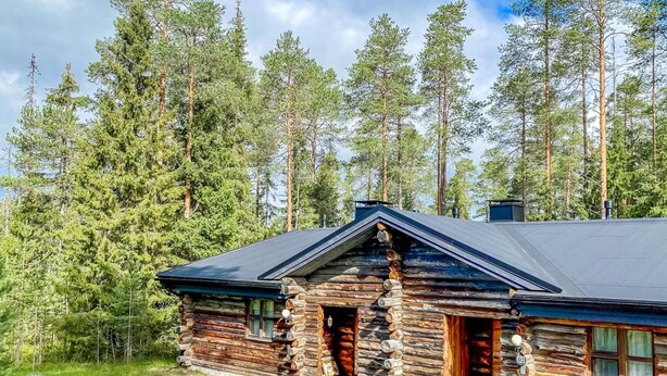 A log cabin with a sloped roof, surrounded by tall pine trees.