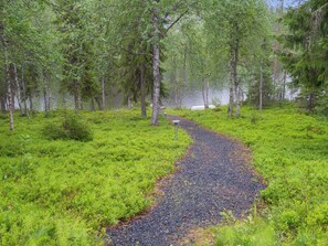 Un sendero de grava atraviesa un bosque con un lago al fondo.