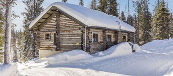 Muuttohaukka by Interhome