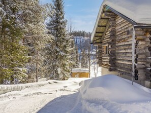 Una cabaña de troncos con exterior cubierto de nieve, una puerta de madera y una ventana.