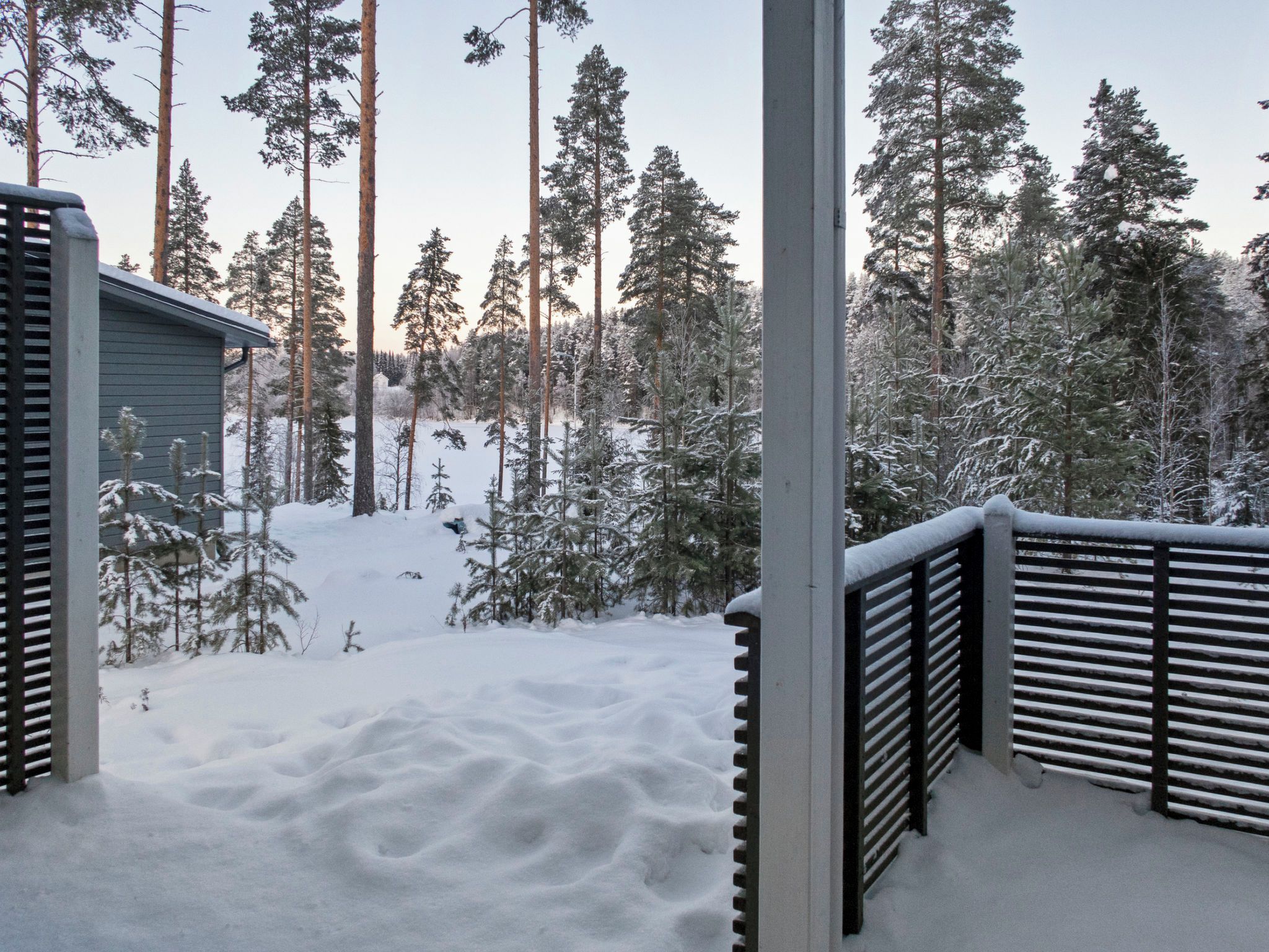 A snow-covered landscape with a wooden fence and tall evergreen trees.