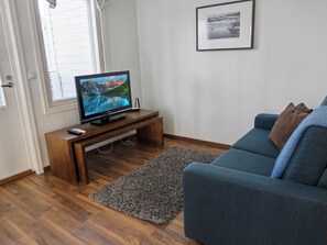 Un salon avec un meuble de rangement en bois pour l’équipement audiovisuel, un téléviseur à écran plat, un canapé bleu et un tapis gris.