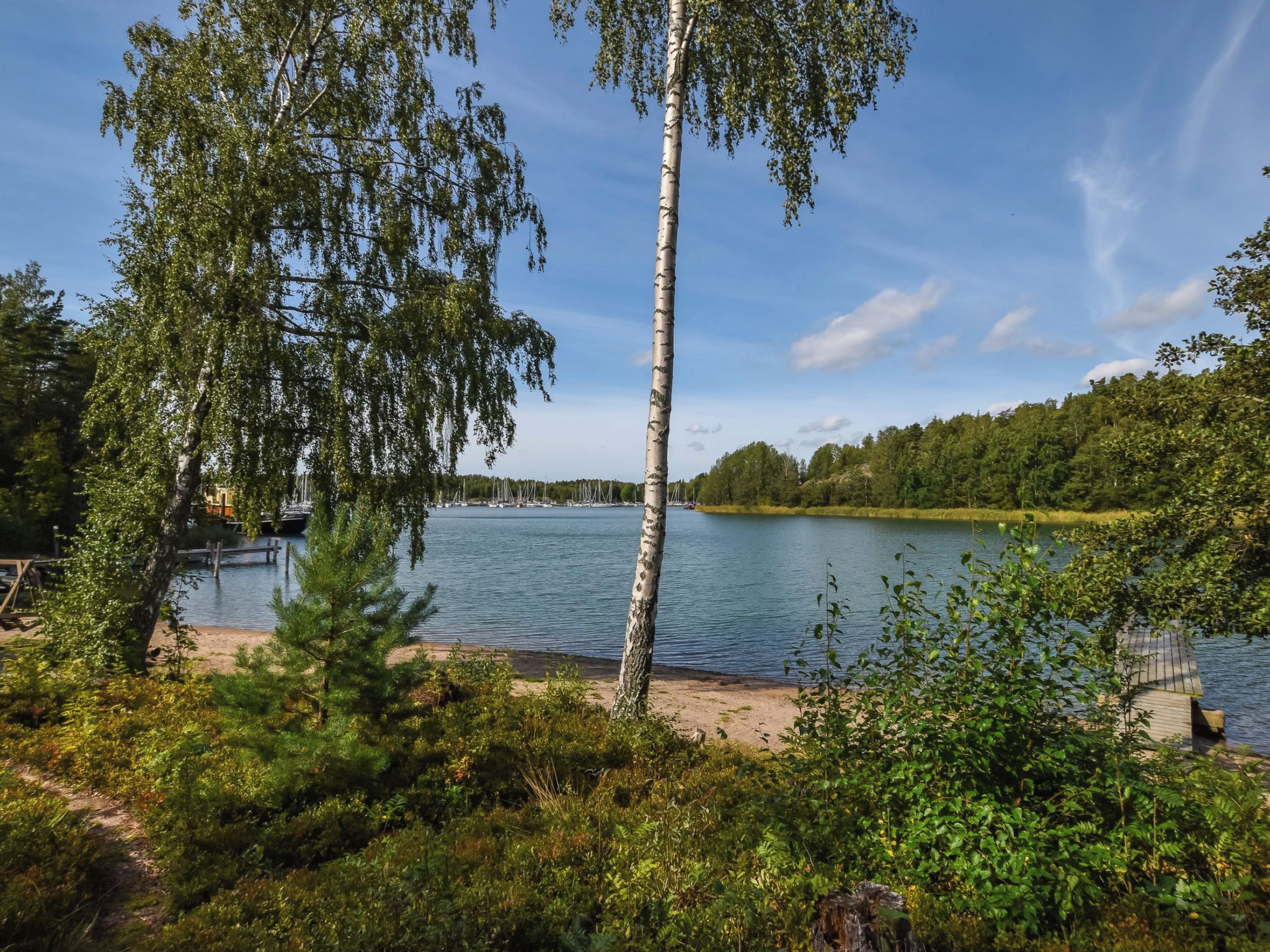 A lakeside view with a dock, trees, and a clear sky.