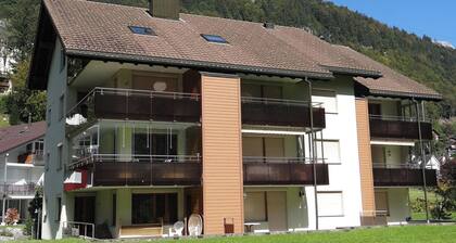 Blumenweg 8 Appartement/Fewo 2-Bettwohnung by Interhome
