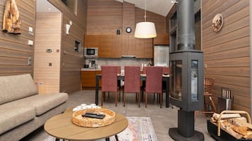 电视、DVD 播放器