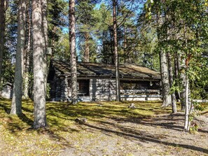 A rustic cabin surrounded by tall trees in a forest.