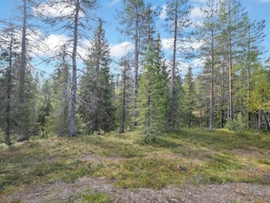 Uklassifisert bilde, 3 av 21, knapp