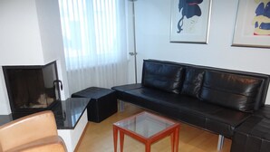 Fernseher, Kamin