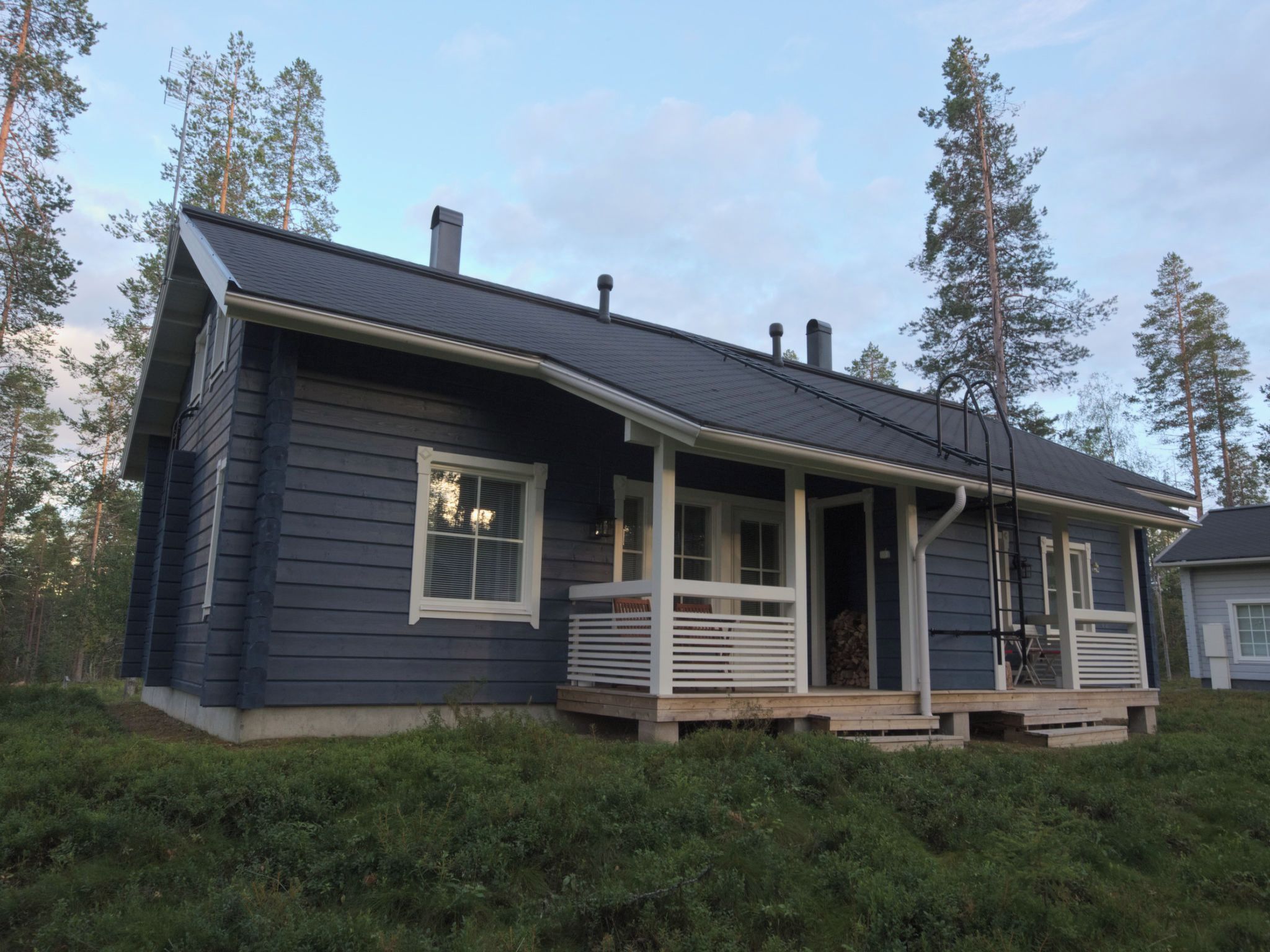 Eksteriør