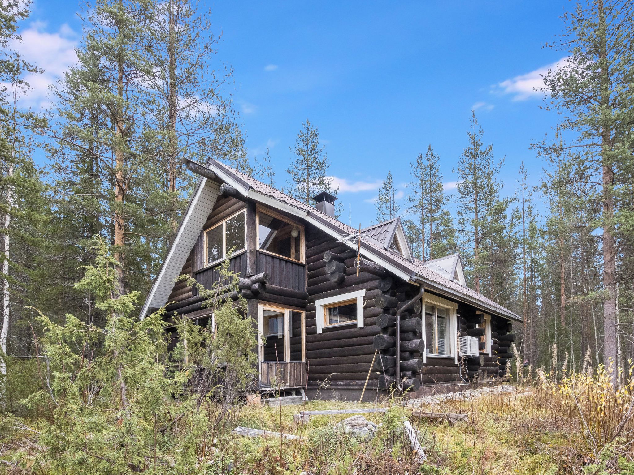 Eksteriør