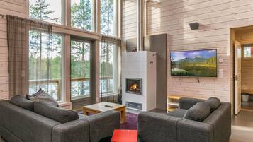 電視、DVD 播放機