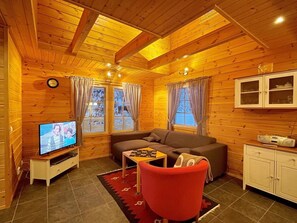 Fernseher, DVD-Player