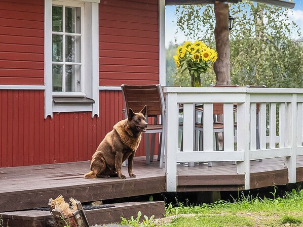 Uklassifisert bilde, 1 av 24, knapp