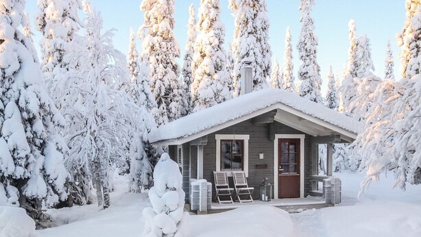 A small cabin surrounded by snow-covered trees.