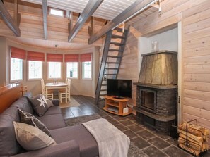 TV, fireplace, DVD player