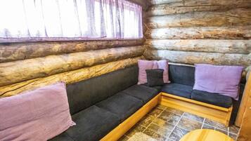 Televisio, DVD-soitin