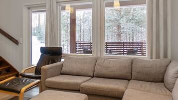 电视、DVD 播放器