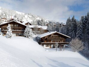 Exterior - Apartment Graebi by Interhome (Schönried)