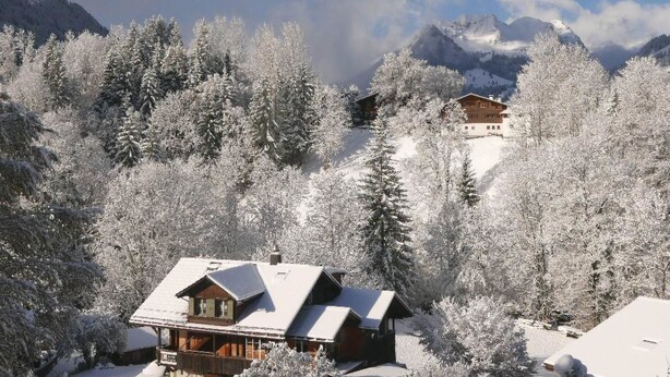 Een besneeuwde mountainlodge met een houten gevel en een schuin dak, omgeven door dichte altijdgroene bomen en besneeuwde bergen op de achtergrond.