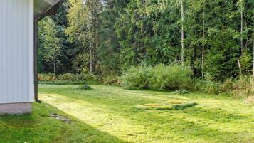 A grassy yard with a white building, surrounded by dense forest.