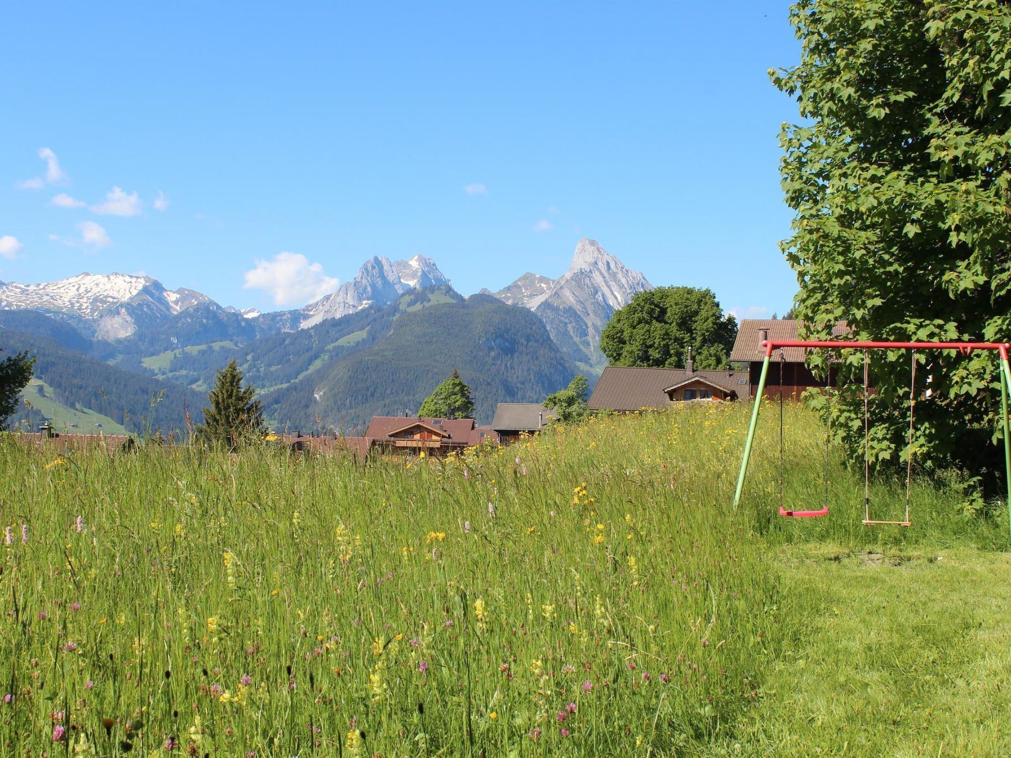 Un paysage rural avec un champ de fleurs sauvages, une balançoire et des maisons offrant une vue sur les montagnes en arrière-plan.