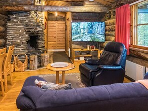 Televisio, DVD-soitin