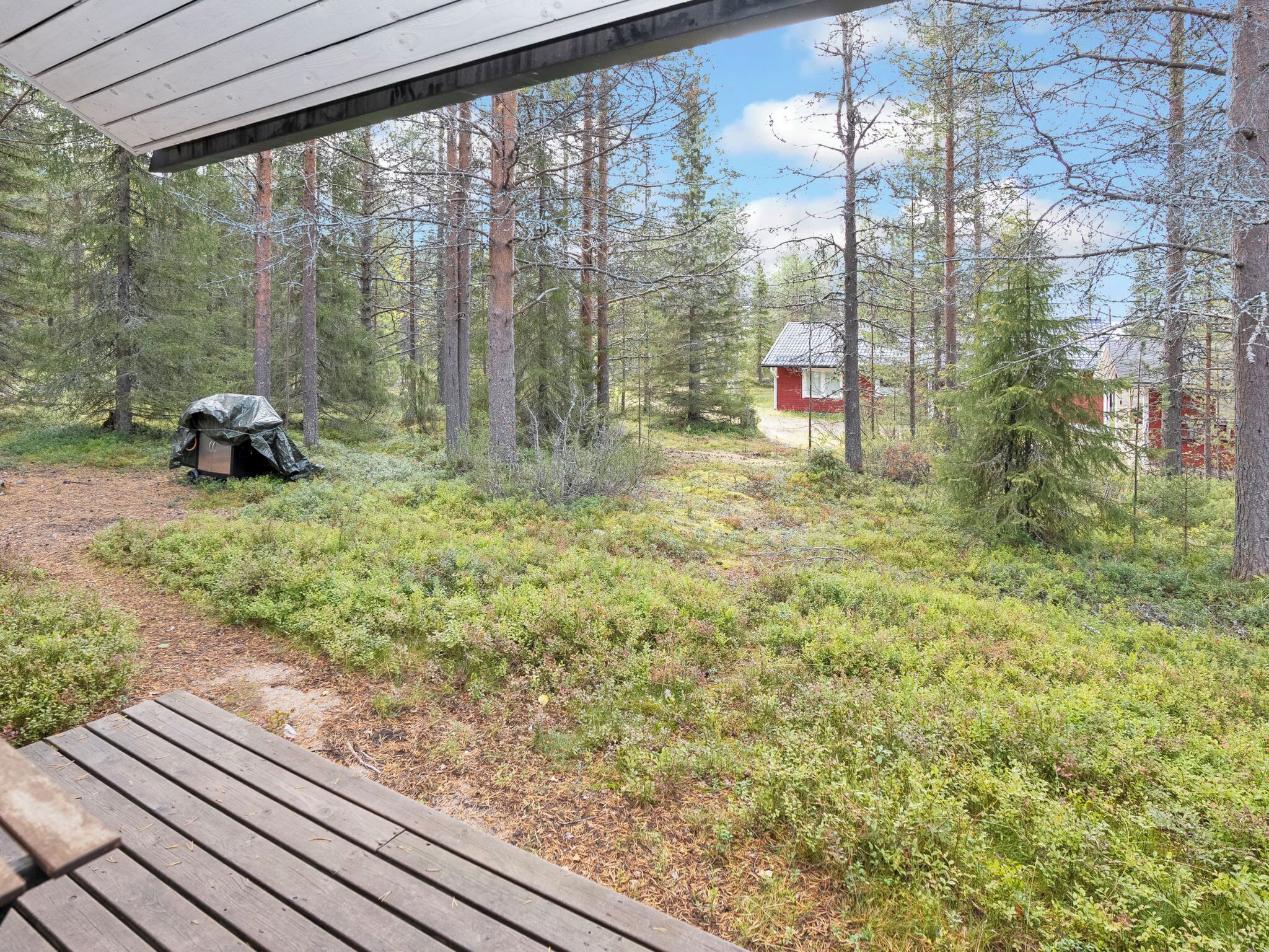Ulkoalueet