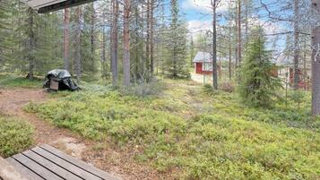 Ulkoalueet
