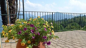 Ein Terrakotta-Topf mit gelben und violetten Blüten auf einem gepflasterten Balkon mit Metallgeländer, mit Blick auf eine gebirgige Landschaft.