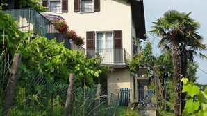Ein zweistöckiges Haus mit Balkon, umgeben von viel Grün und einer Palme.