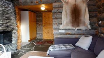 电视、DVD 播放器