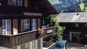Uklassifisert bilde, 3 av 49, knapp