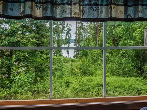 A window with a view of dense greenery and a body of water.