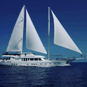 Maison mobile majestueuse | Façade de l’hébergement 