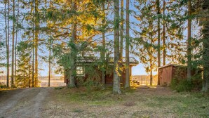 A rustic cabin with a dirt path leading to it, surrounded by tall trees and a clear sky.