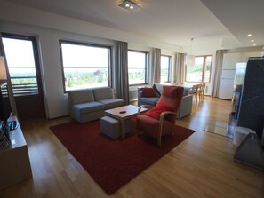 Televisio, DVD-soitin