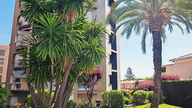 A multi-story building with balconies, surrounded by lush greenery including palm trees and various shrubs. - Edificio Blanqueries by Interhome (Calella)