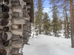 Cozy cabin nestled among tall pine trees, offering a secluded retreat.