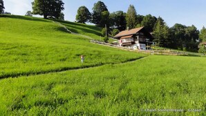 A house on a grassy hill with a clear sky. - Sonnenfreude, Chalet by Interhome (Schönried)