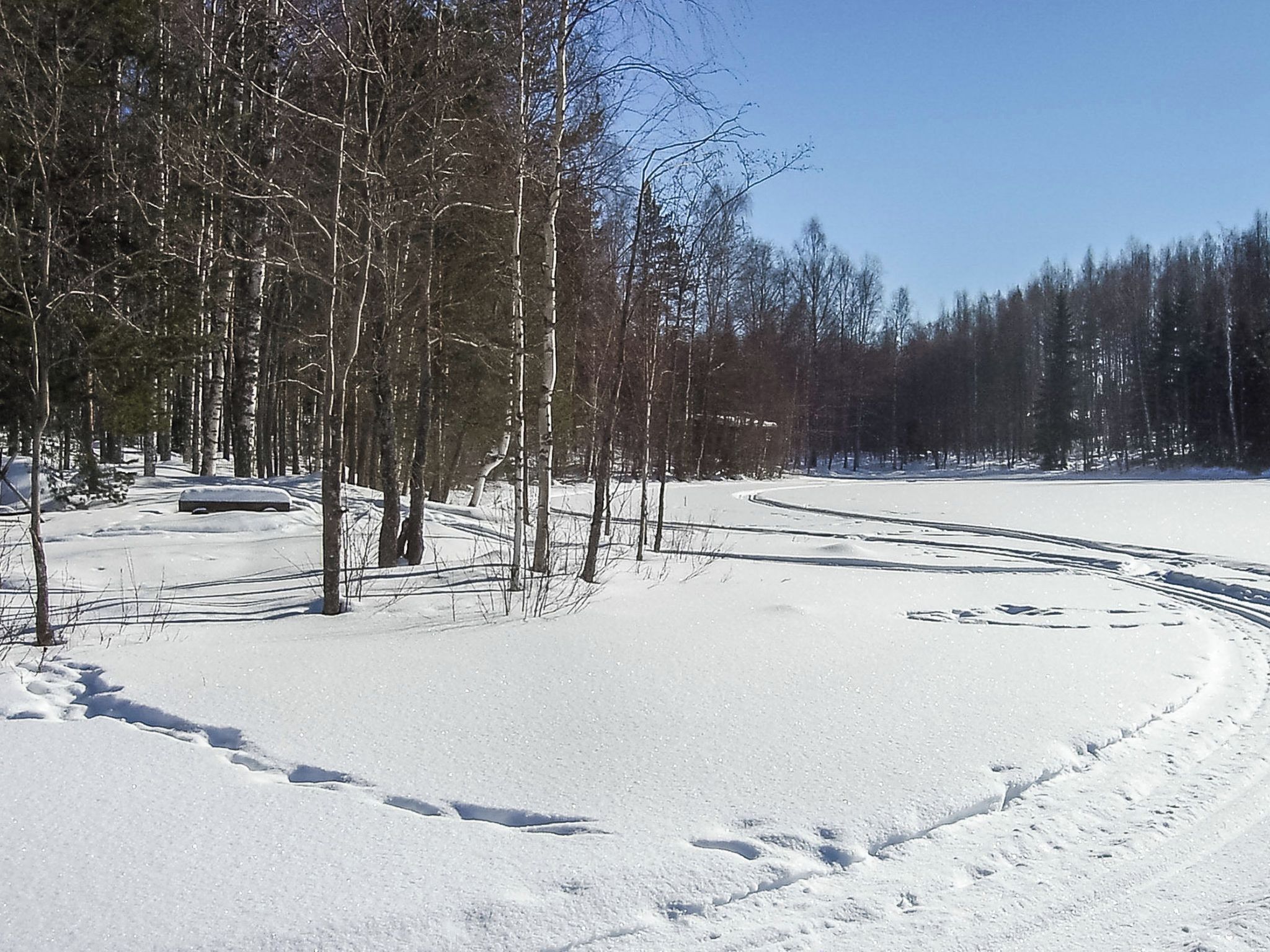 A snowy landscape with a clear sky, a road curving through the scene, and a line of trees.