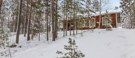 Eksteriør